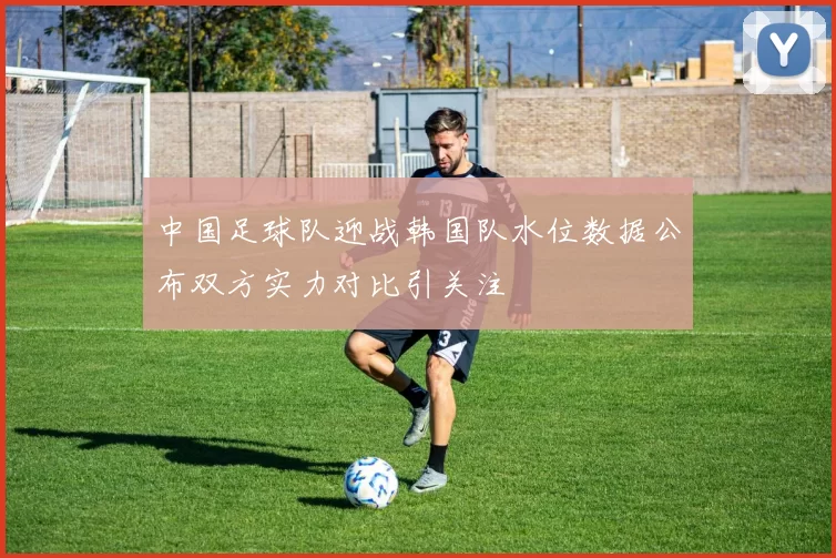 中国足球队迎战韩国队水位数据公布双方实力对比引关注