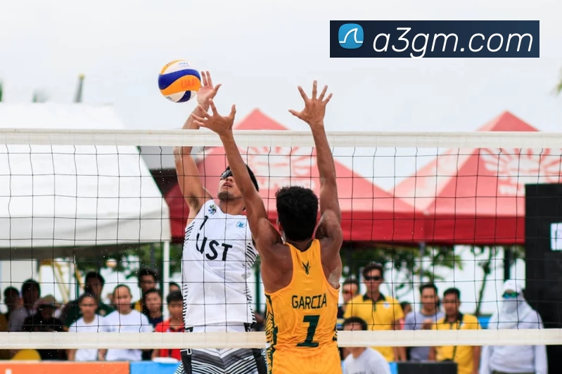 多媒体互动体验